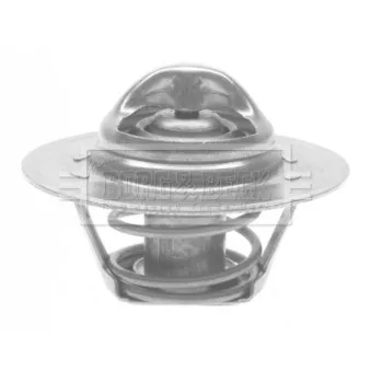 Thermostat d'eau BORG & BECK BTS122.82