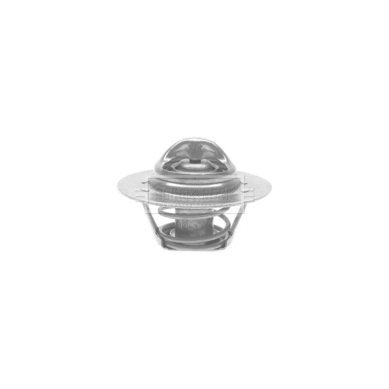 Thermostat d'eau BORG & BECK BTS122.82