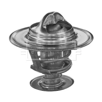 Thermostat d'eau BORG & BECK BTS153.82