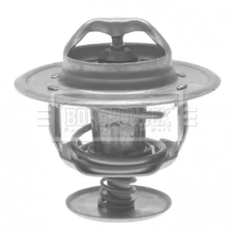 Thermostat d'eau BORG & BECK BTS154.83