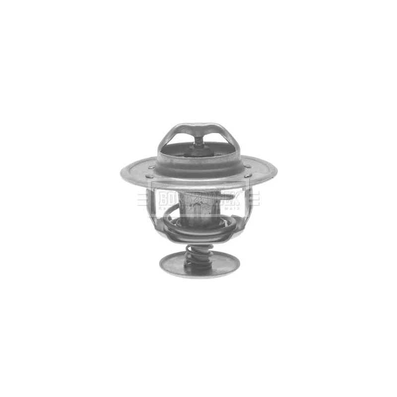 Thermostat d'eau BORG & BECK BTS154.83