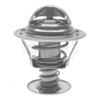 Thermostat d'eau BORG & BECK BTS168.89