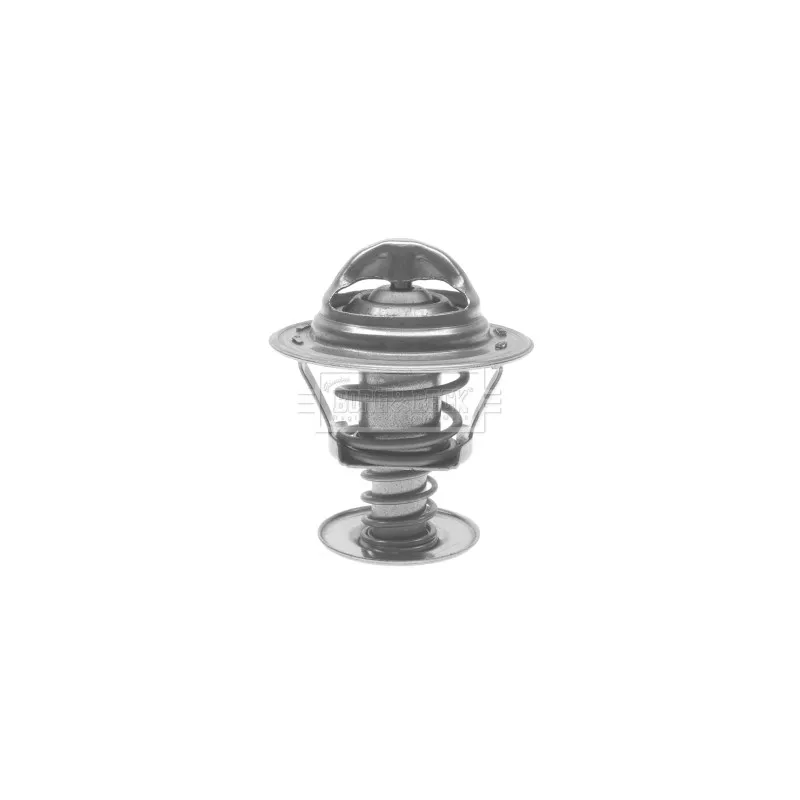 Thermostat d'eau BORG & BECK BTS168.89