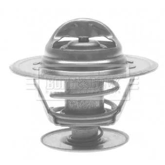 Thermostat d'eau BORG & BECK BTS171.92