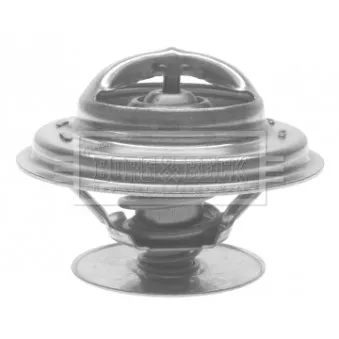 Thermostat d'eau BORG & BECK BTS173.87