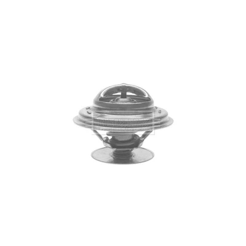Thermostat d'eau BORG & BECK BTS173.87