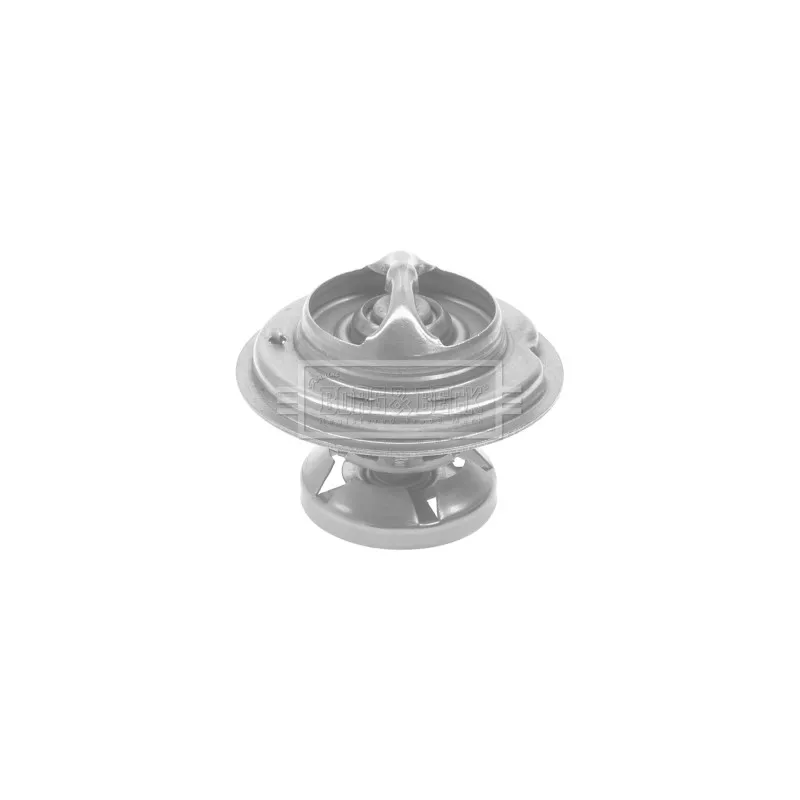 Thermostat d'eau BORG & BECK BTS182.80