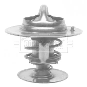 Thermostat d'eau BORG & BECK BTS196.88