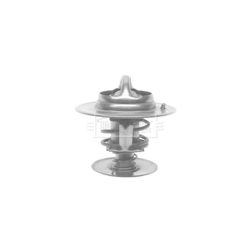 Thermostat d'eau BORG & BECK BTS196.88