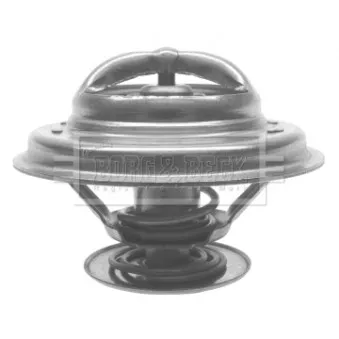 Thermostat d'eau BORG & BECK BTS199.88