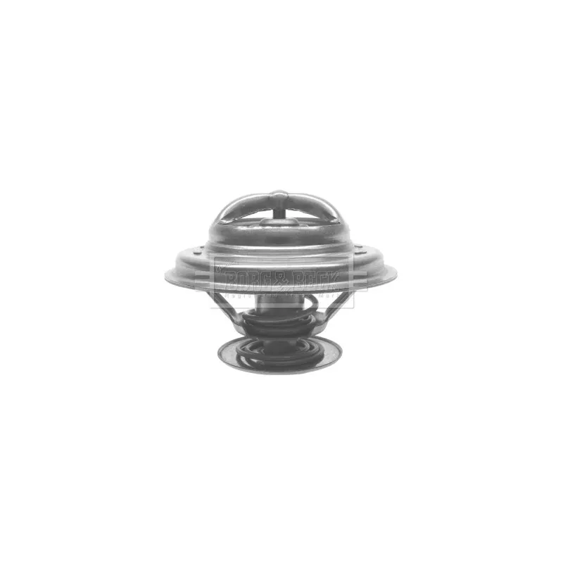 Thermostat d'eau BORG & BECK BTS199.88