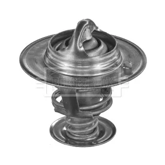 Thermostat d'eau BORG & BECK BTS204.88