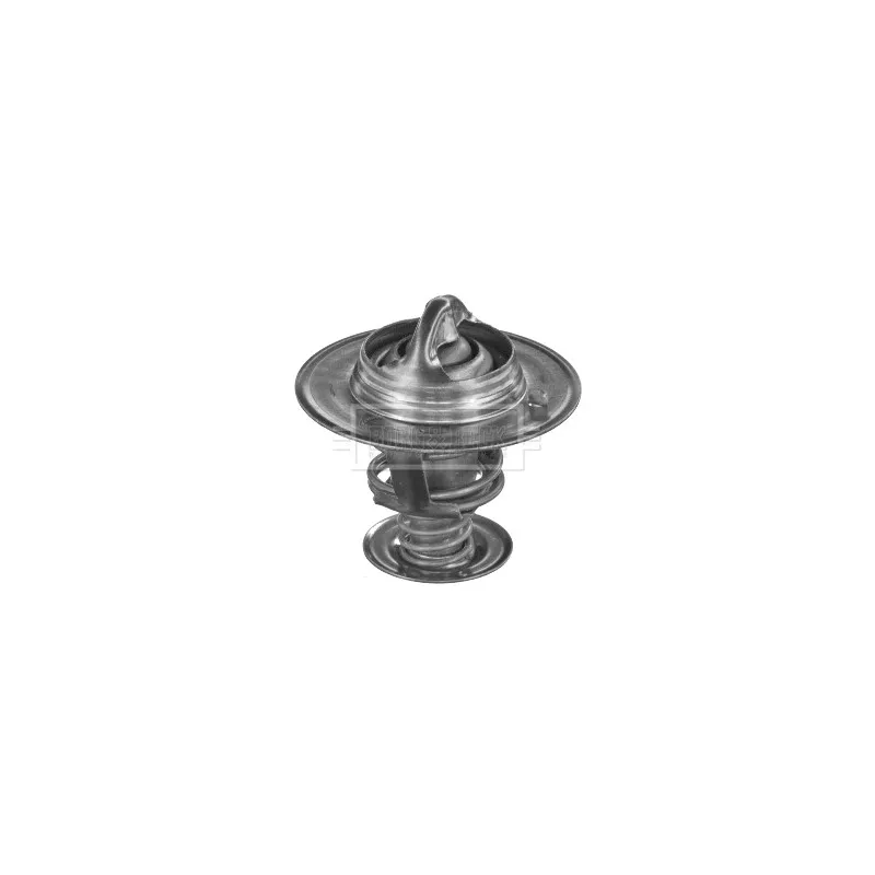 Thermostat d'eau BORG & BECK BTS204.88