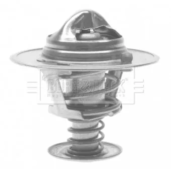 Thermostat d'eau BORG & BECK BTS216.82
