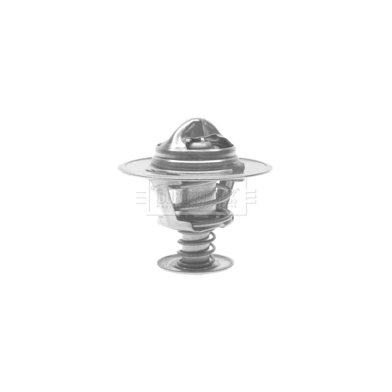 Thermostat d'eau BORG & BECK BTS216.82