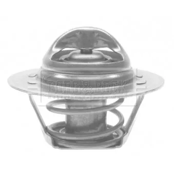 Thermostat d'eau BORG & BECK BTS226.88