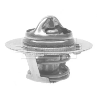 Thermostat d'eau BORG & BECK BTS237.88