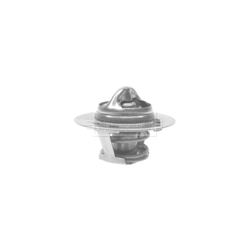Thermostat d'eau BORG & BECK BTS237.88