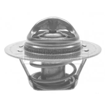 Thermostat d'eau BORG & BECK BTS261.82