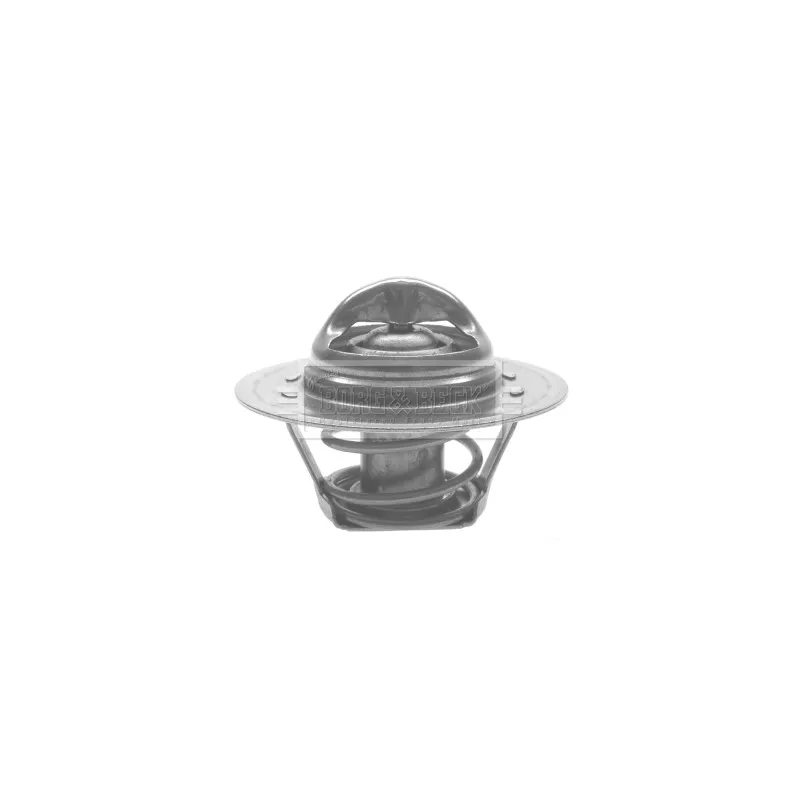 Thermostat d'eau BORG & BECK BTS261.82