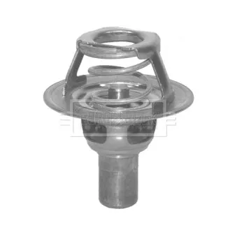 Thermostat d'eau BORG & BECK BTS263.91