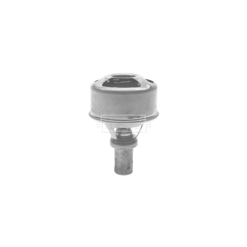 Thermostat d'eau BORG & BECK BTS267.83