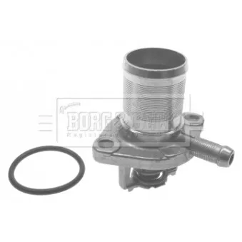 Thermostat d'eau BORG & BECK BTS272.89