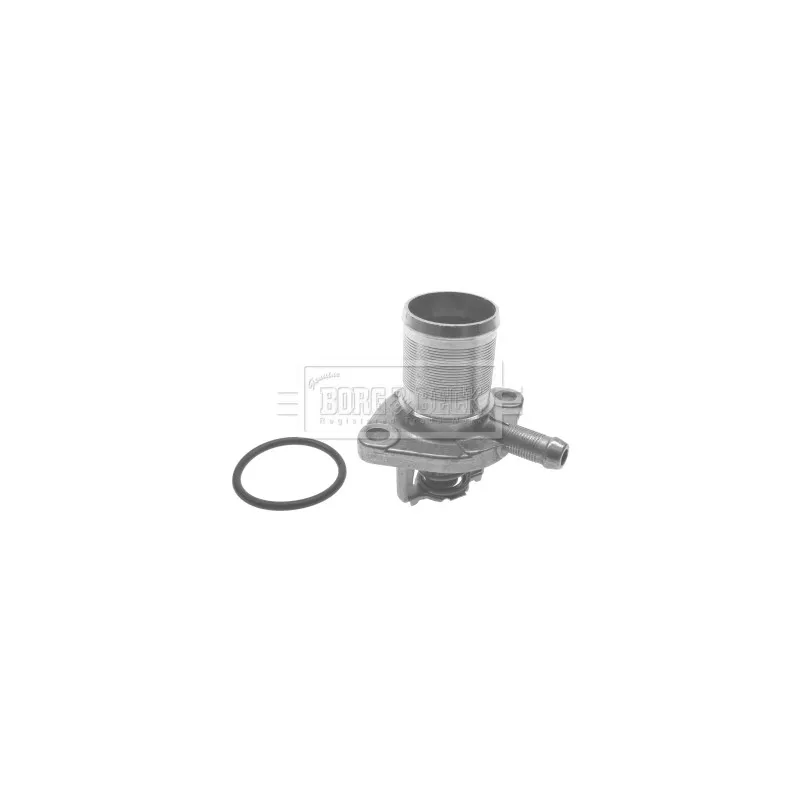 Thermostat d'eau BORG & BECK BTS272.89