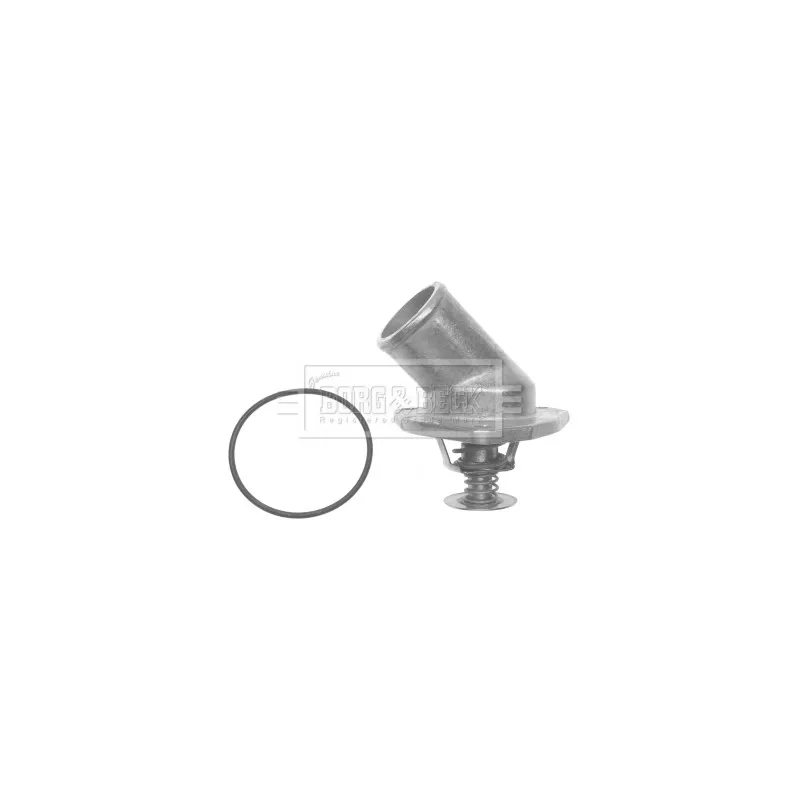 Thermostat d'eau BORG & BECK BTS294.92