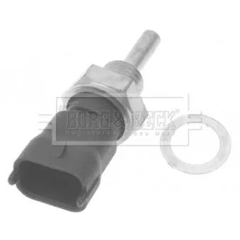Sonde de température, liquide de refroidissement BORG & BECK BTS3007
