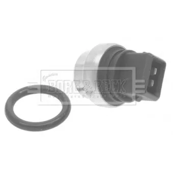 Sonde de température, liquide de refroidissement BORG & BECK BTS3036