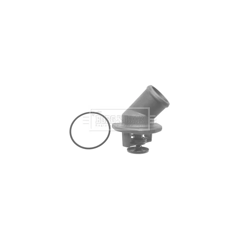 Thermostat d'eau BORG & BECK BTS327.87