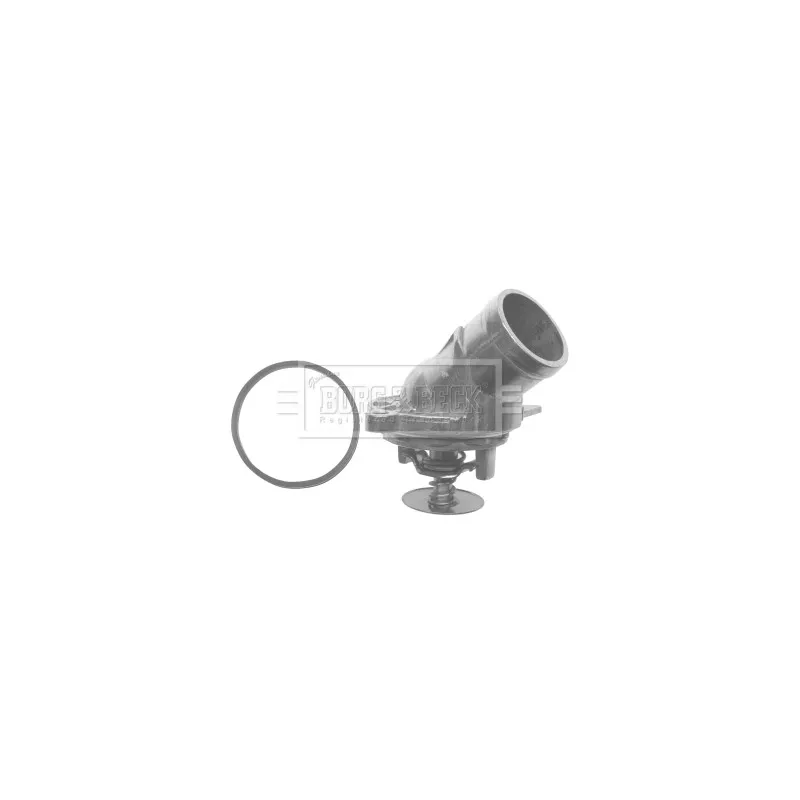 Thermostat d'eau BORG & BECK BTS337.87