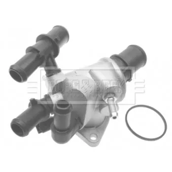 Thermostat d'eau BORG & BECK BTS353.88