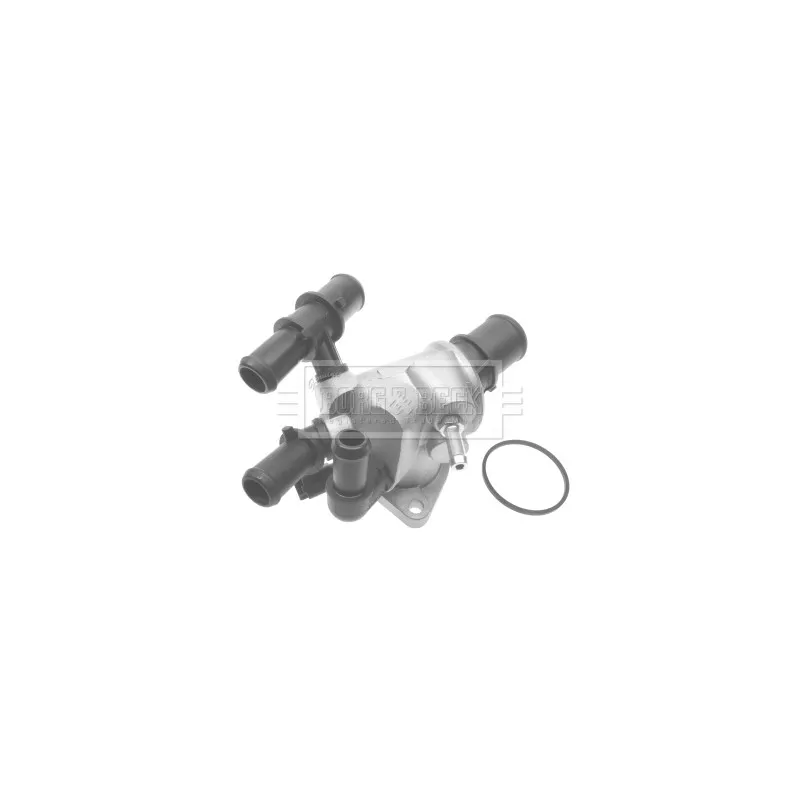 Thermostat d'eau BORG & BECK BTS353.88