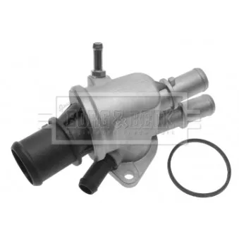 Thermostat d'eau BORG & BECK BTS354.88