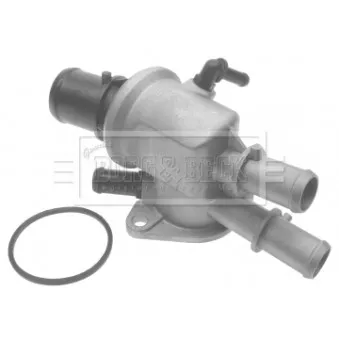 Thermostat d'eau BORG & BECK BTS355.88