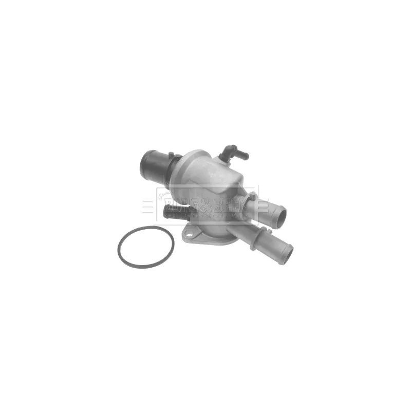 Thermostat d'eau BORG & BECK BTS355.88