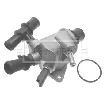 Thermostat d'eau BORG & BECK BTS356.88