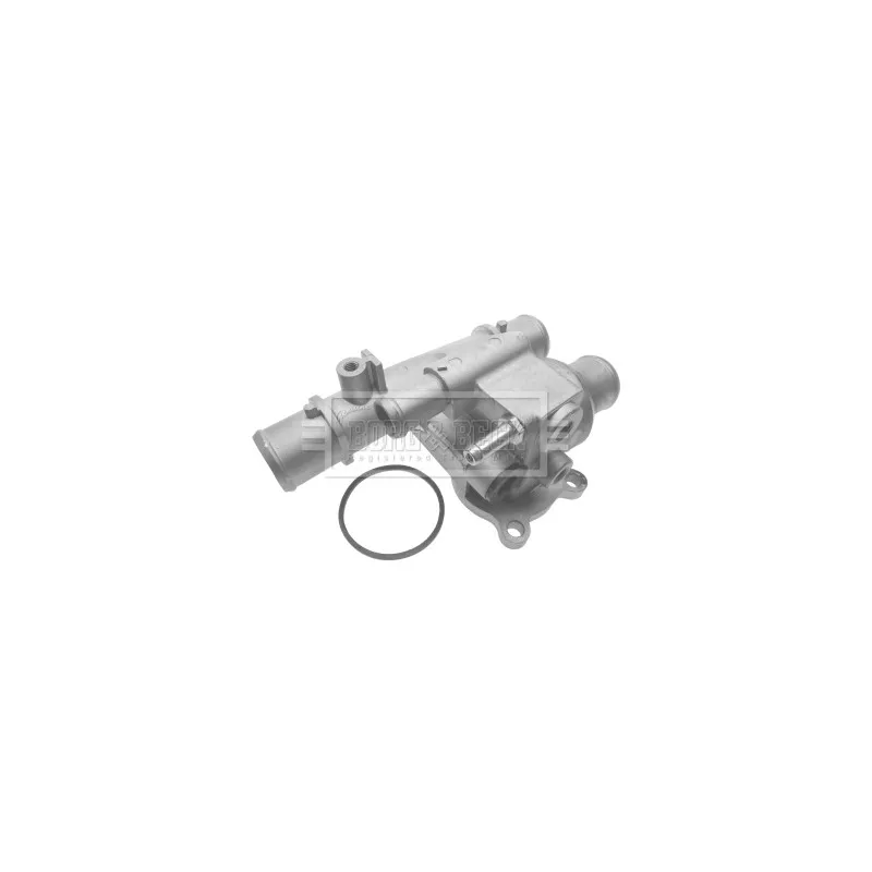 Thermostat d'eau BORG & BECK BTS368.88