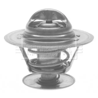 Thermostat d'eau BORG & BECK BTS414.89