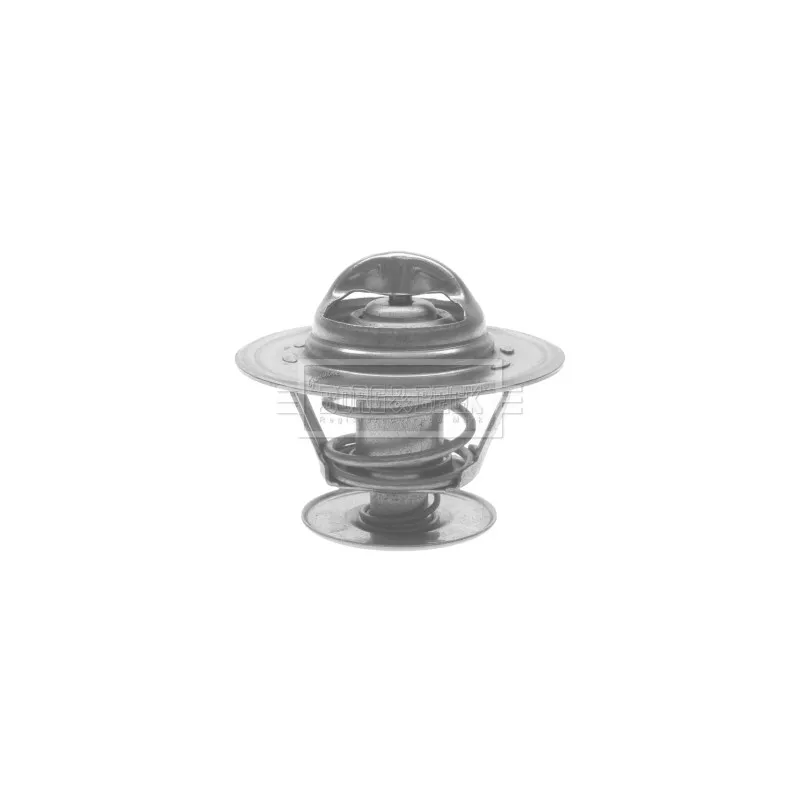 Thermostat d'eau BORG & BECK BTS414.89