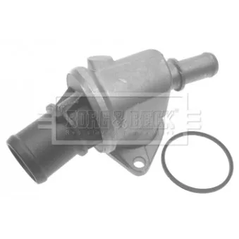 Thermostat d'eau BORG & BECK BTS420.88