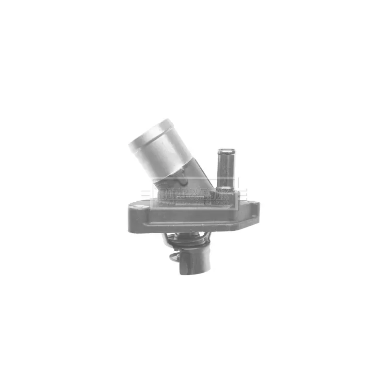 Thermostat d'eau BORG & BECK BTS445.82