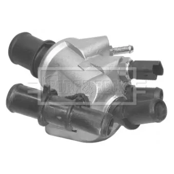 Thermostat d'eau BORG & BECK BTS498.88