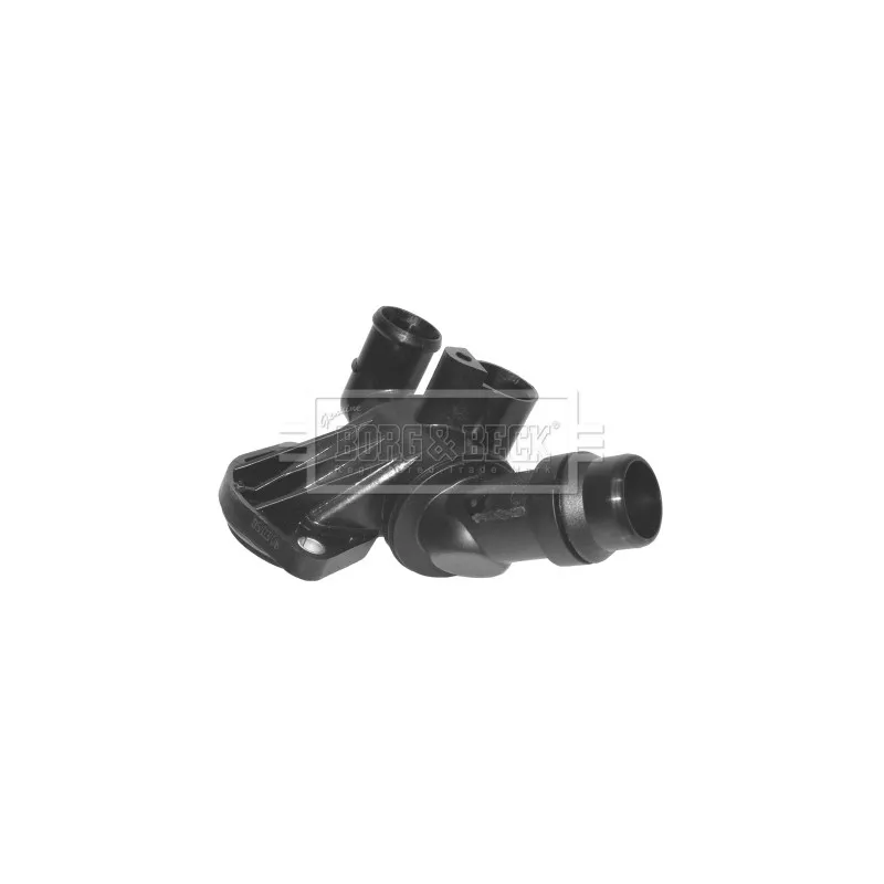 Thermostat d'eau BORG & BECK BTS510.87