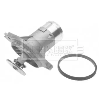 Thermostat d'eau BORG & BECK BTS540.87