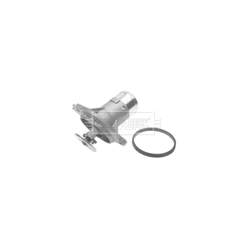Thermostat d'eau BORG & BECK BTS540.87