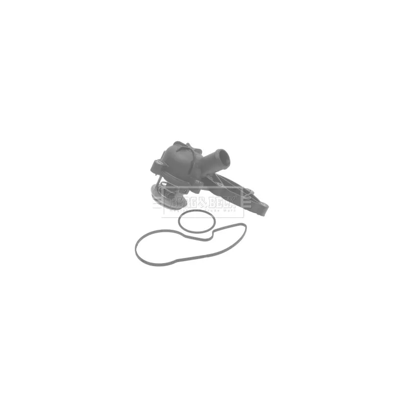 Thermostat d'eau BORG & BECK BTS548.88