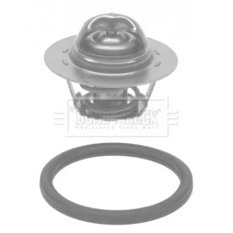 Thermostat d'eau BORG & BECK BTS583.75